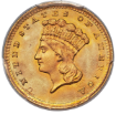 Picture of $1 Indian Head Type 3 AU